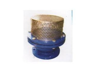 FOOT VALVES SUPPLIERS IN KOLKATA