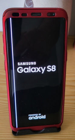 telemovel-samsung-s8-big-0