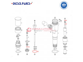 Para Bico Injetor S10 2.8 MWM