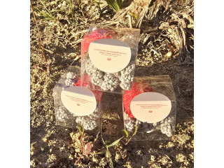 Binde do Classificadossaomarcos