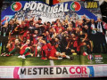 poster-portugal-euro2016-small-0